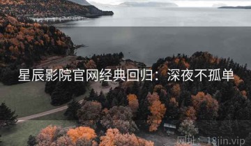 星辰影院官网经典回归：深夜不孤单