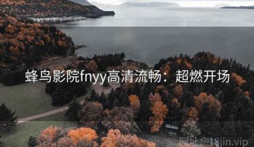 蜂鸟影院fnyy高清流畅：超燃开场