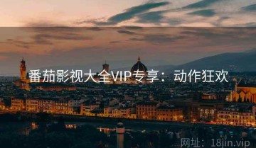 番茄影视大全VIP专享：动作狂欢