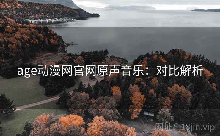 age动漫网官网原声音乐:对比解析 age动漫网官网原声音乐:对比解析